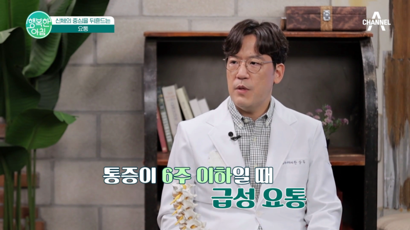 양주정형외과 허리 통증 정확한 진단과 빠른 치료를