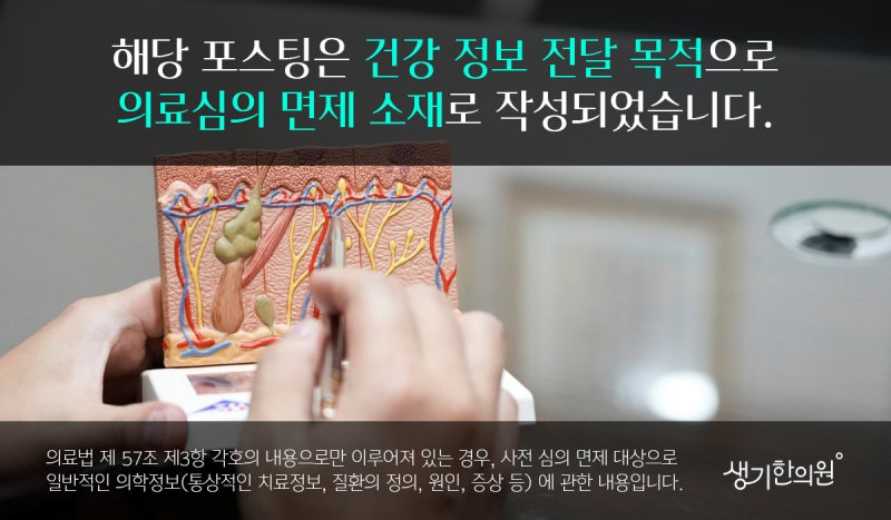 빌베리 효능 어디에 좋을까?
