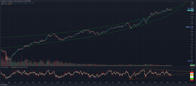 애플(AAPL)로 보는 나스닥 장기 뷰