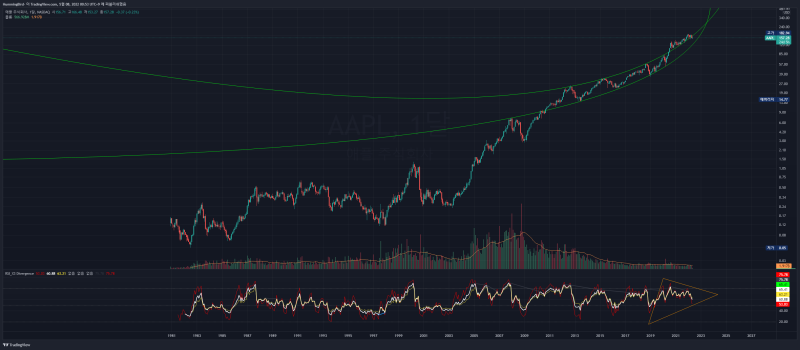 애플(AAPL)로 보는 나스닥 장기 뷰